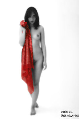 Red veil / Voile rouge