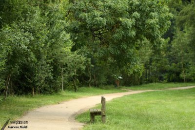 Vertou - Parc de Loiry