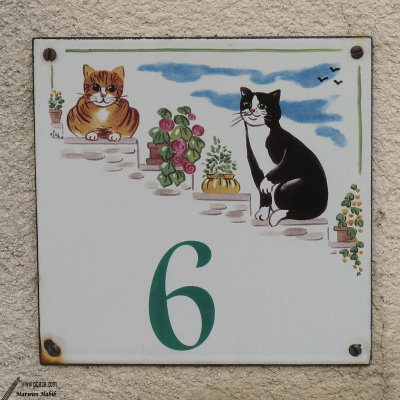 14-05-2012 : 6 Cats' Street / 6 Rue des Chats
