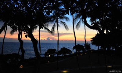 Hawaiian evening