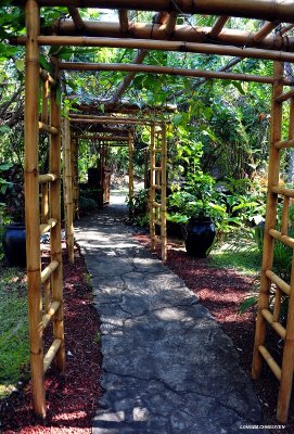 Path to Peace garden