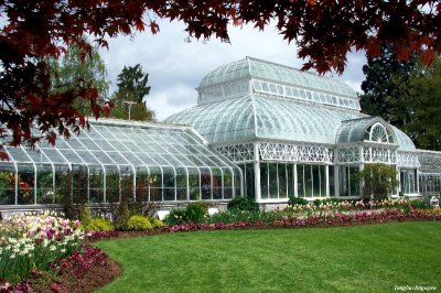 Volunteer Park Conservatory