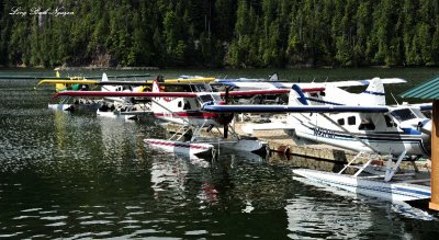 Full Dock with Beavers