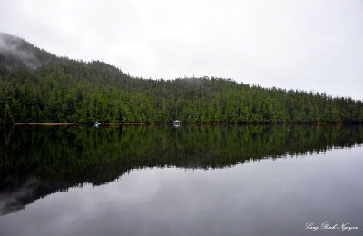 peaceful in Vernon Bay