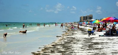 Colorful Clearwater Beach