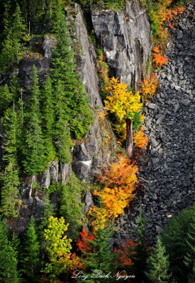 colors of fall in Cascades