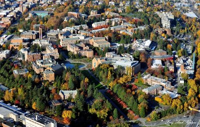 Fall colors at University of Washington