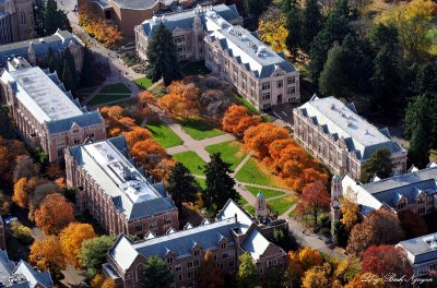 The Quad in fall colors, University of Washington