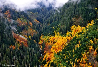 fall colors in Cascades