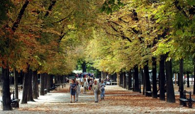 fall in Luxembourg Garden