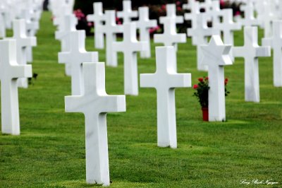 One of the many Crosses, Normandy American Cemetery