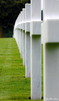 the curve of the crosses, Normandy American Cemetery