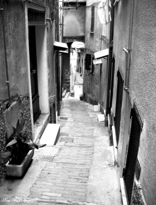 narrow street of Manarola