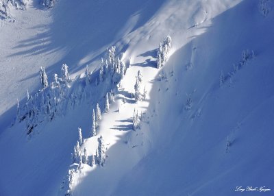 fork on the slope, Cascade Mountains