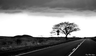 Waikoloa road, Waikola, Hawaii