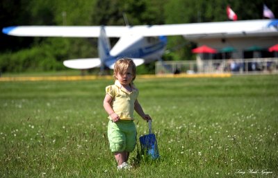 dad little pilot