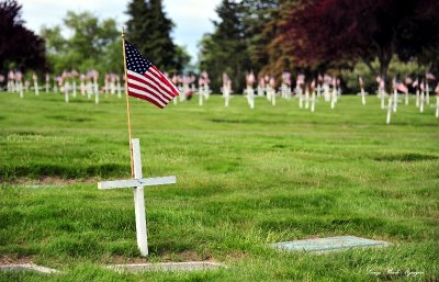 Veterans, Forest Lawn Cemetery, West Seattle, Washington State