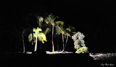 Night time on beach, Fairmont Orchid, Pauoa Bay, Hawaii
