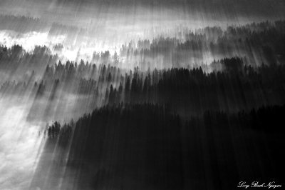 sunrays curtain, Issaquah Plateau, Washington