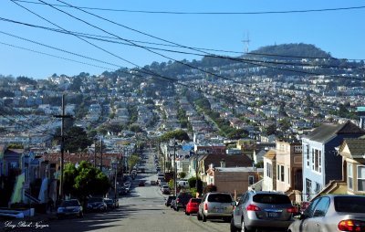 Ingleside, Mt Davidson, Manor, Monterey Height, Mt Davidson Neighborhoods, San Francisco, California