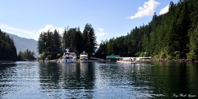 Yachts, Beaver Floatplanes, Dent Island Lodge, Desolation Sound, BC, Canada 