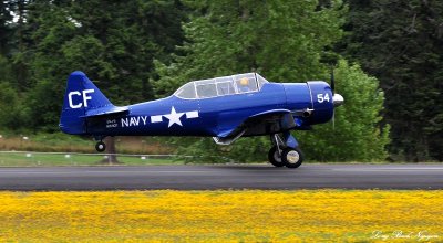 N154CF, SNJ-5, Friday Harbor Fly-In, Washington 