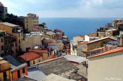 Roofs in Riomaggiore, Italy