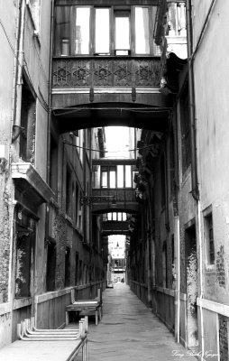 walkway in Venice