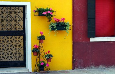 flower pots in Burano