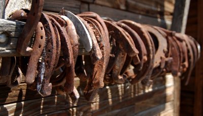 rusty horseshoes