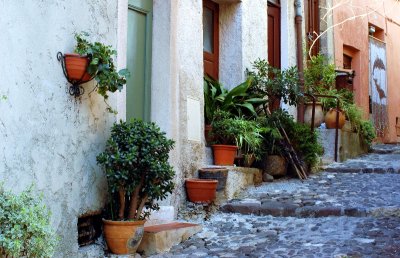 Plants on doorsteps in Biot