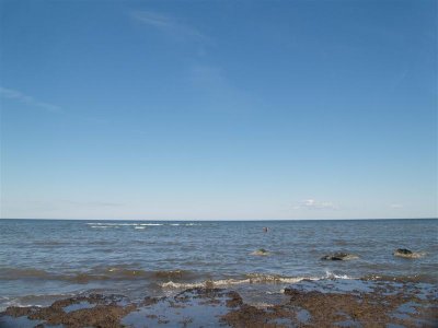 La dune de Bouctouche, N.B.