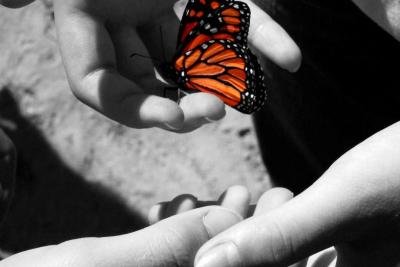 g4/96/660296/3/60817999.FriendshipwithNature.jpg