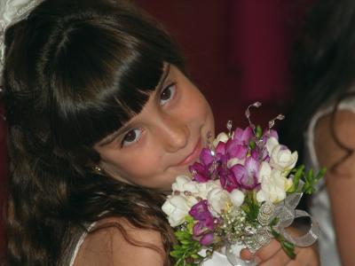 g4/96/660296/3/61478709.EmelieFlowerGirl.jpg