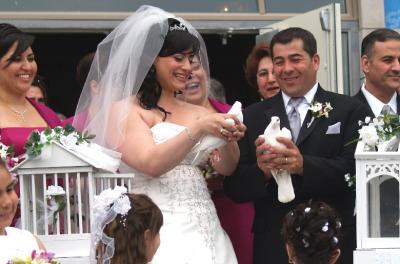 Doves C