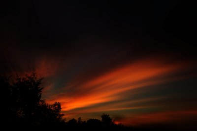 g4/96/660296/3/64967210.cs7WK55U.jpg