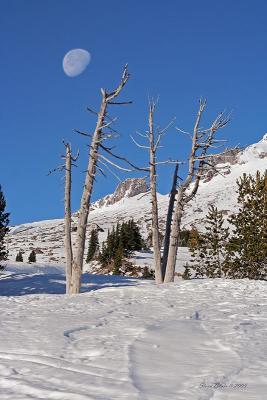 Mt. Hood With Moon IMG_1398a