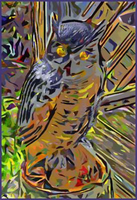 Owl