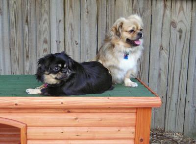 Lexy and Tory