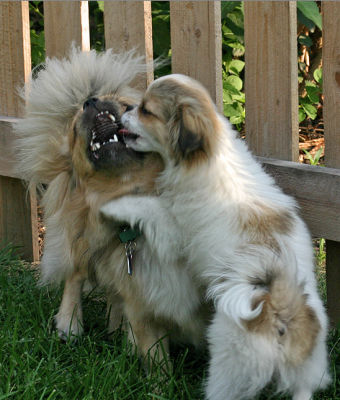 Tory and Kyra