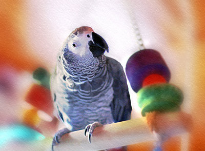Gabby
