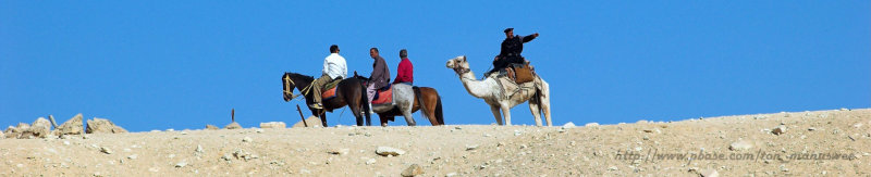 Horse & Camel riding