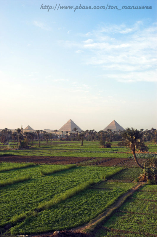 Green land & Pyramid