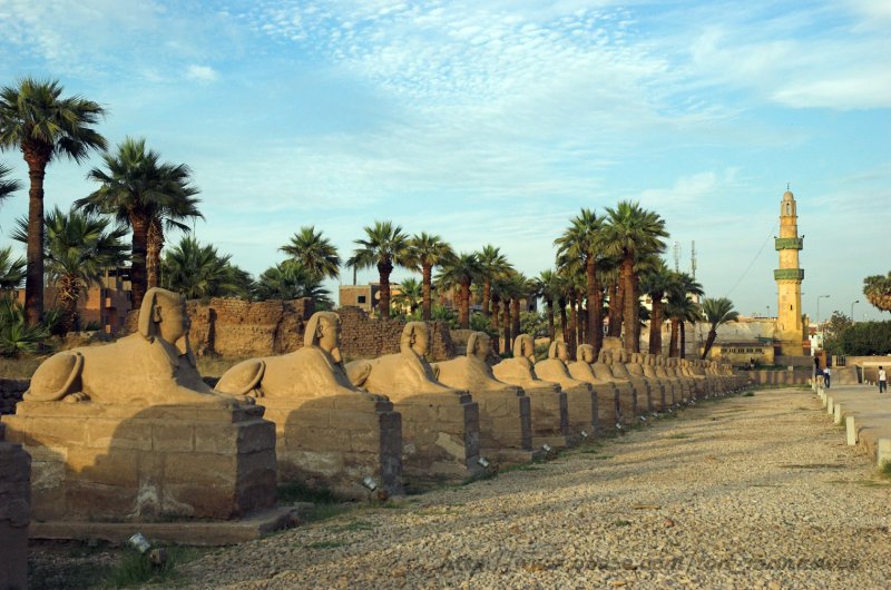 Hundreds of sphinxes at Luxor temple once lined the road to nearby Karnak