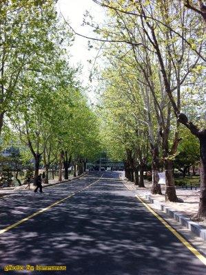 Yonsei University