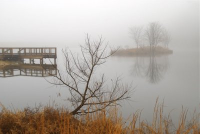 Fog and Mulberry Lake