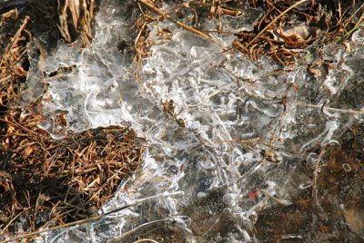 DSC_0024.jpg