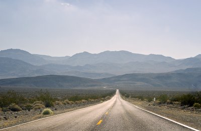IMG_3544.jpg