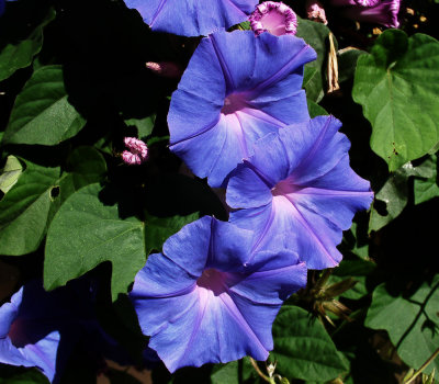g4/96/766996/3/91484870.pUlfisxn.jpg