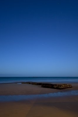 IMG_3385.jpg